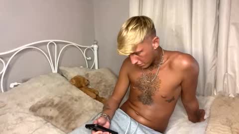 Harrison online show from November 10, 8:11 pm