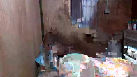 zel online show from February 21, 9:56 am