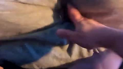 Beautiful daydream online show from April 23, 12:02 pm