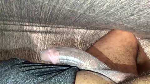 Yungdaggerdixk4 online show from September 30, 10:53 pm