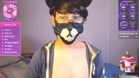 the puppy boy online show from March 7, 3:50 am