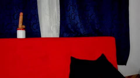 YURI AND MI BOY online show from February 8, 6:22 am