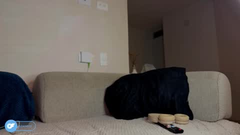 zack_sullivan22 online show from December 3, 7:31 am