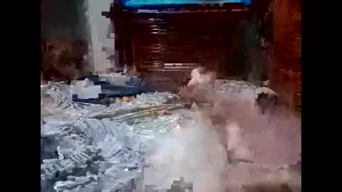 zak430334 online show from September 10, 11:50 pm