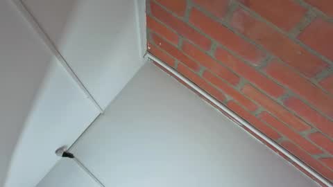 zoe_blond online show from November 25, 3:38 am