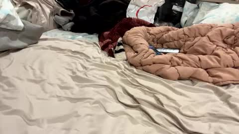 Snapshot of zyph_kohl chatting on October 30, 7:09 am zyph_kohl online show from October 30, 7:09 am